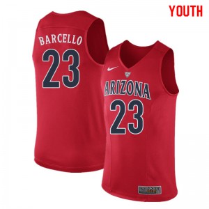 Youth University of Arizona #23 Alex Barcello Red Embroidery Jersey 537228-418