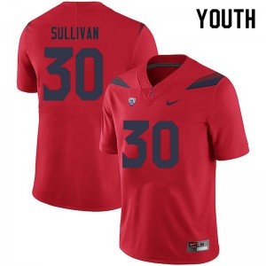 Youth Wildcats #30 Quinn Sullivan Red Embroidery Jersey 493034-823